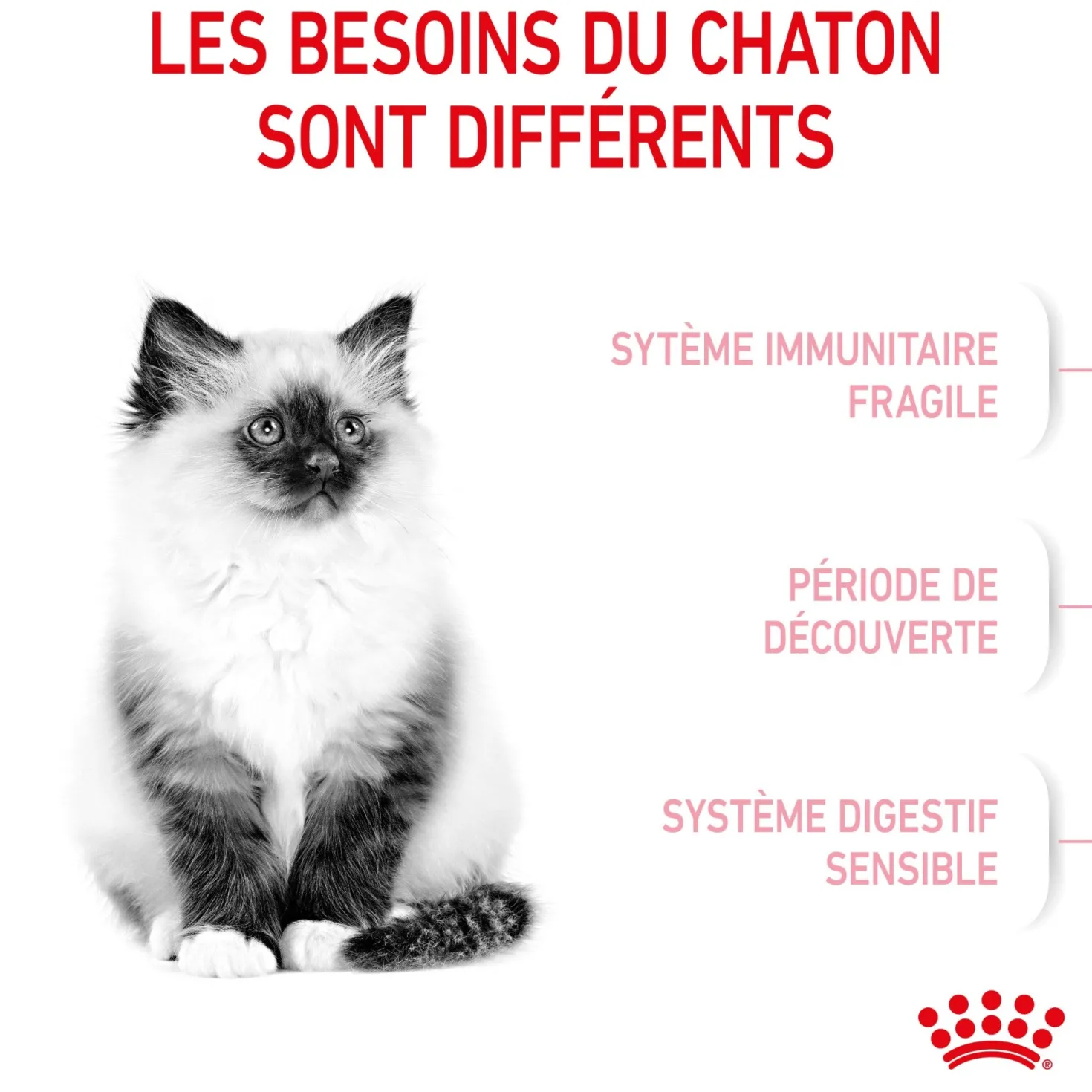 Royal Canin Kitten Second Age - croquettes chaton