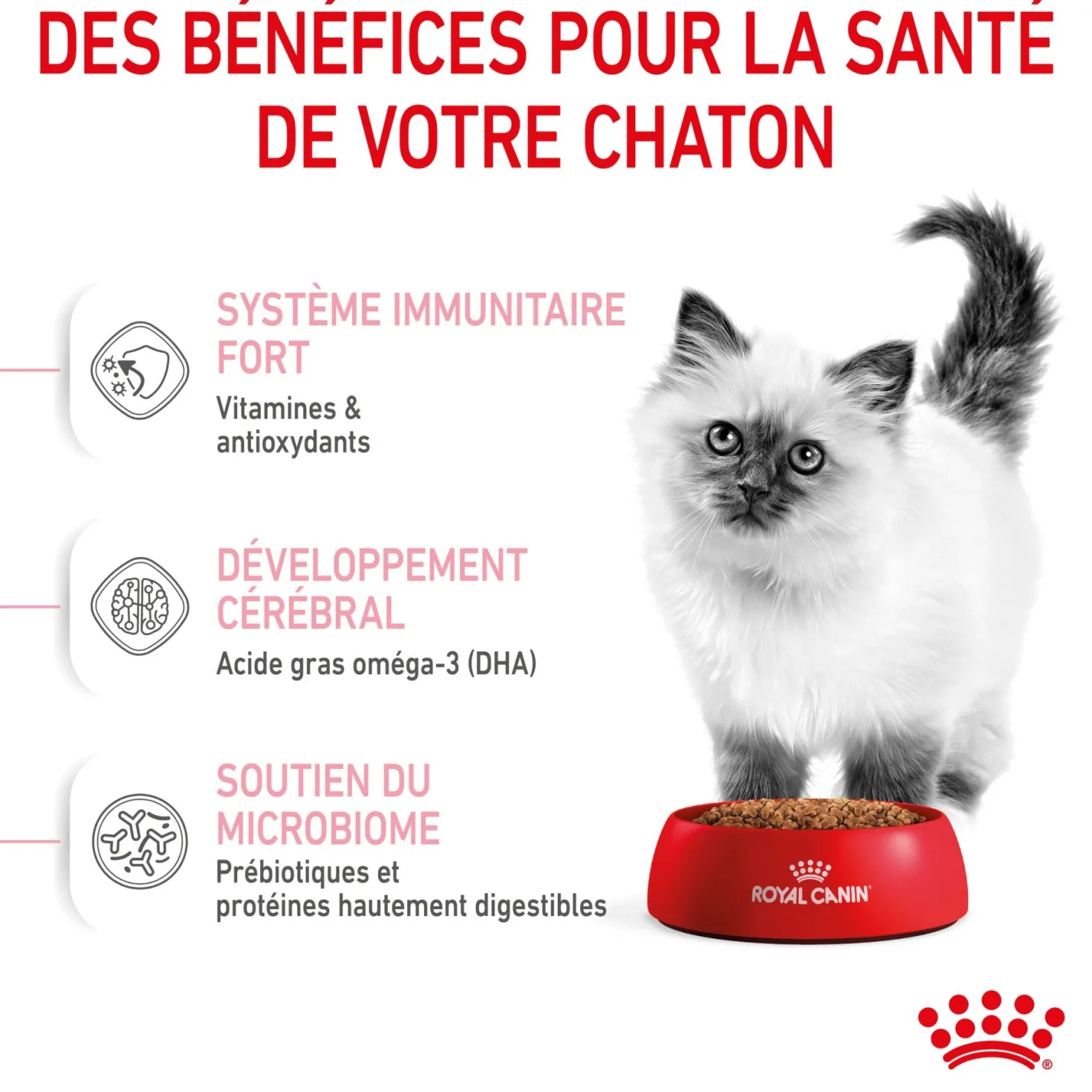 Royal Canin Kitten Second Age - croquettes chaton