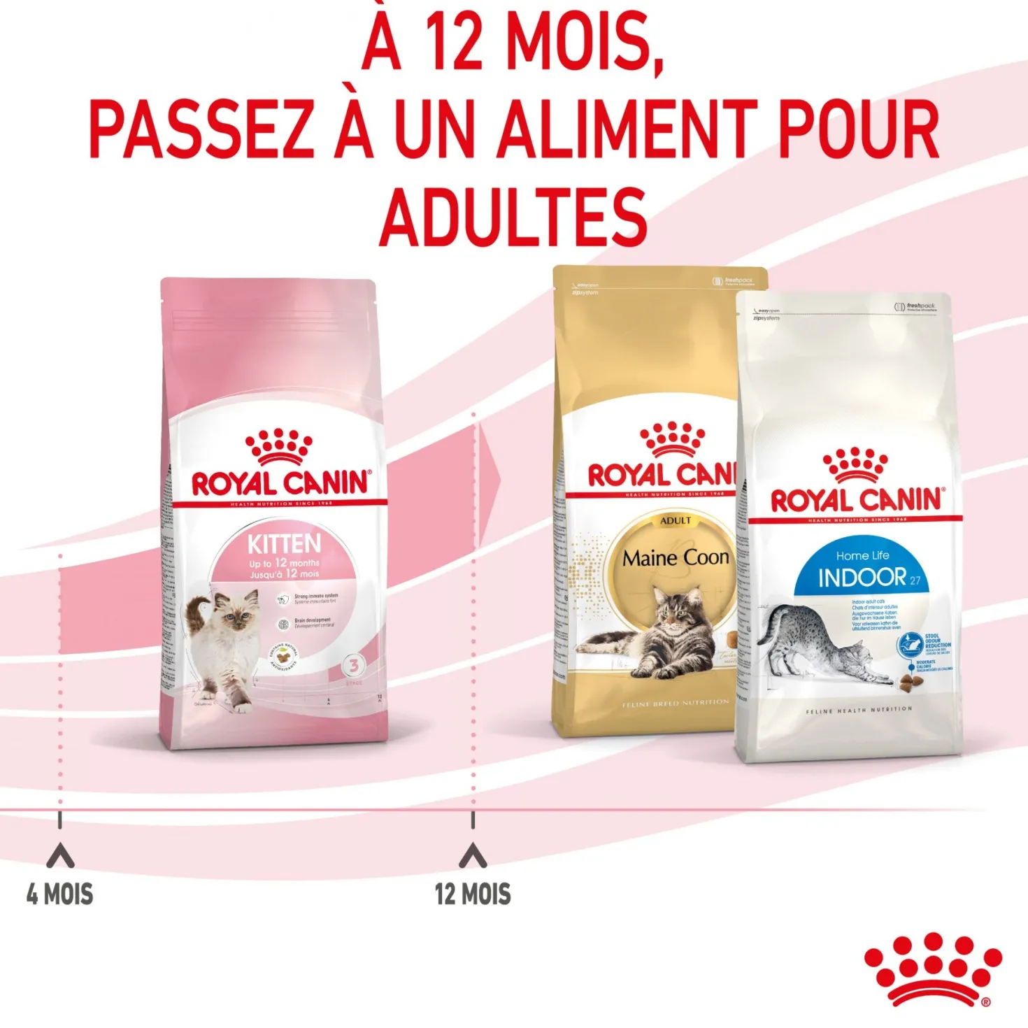 Royal Canin Kitten Second Age - croquettes chaton