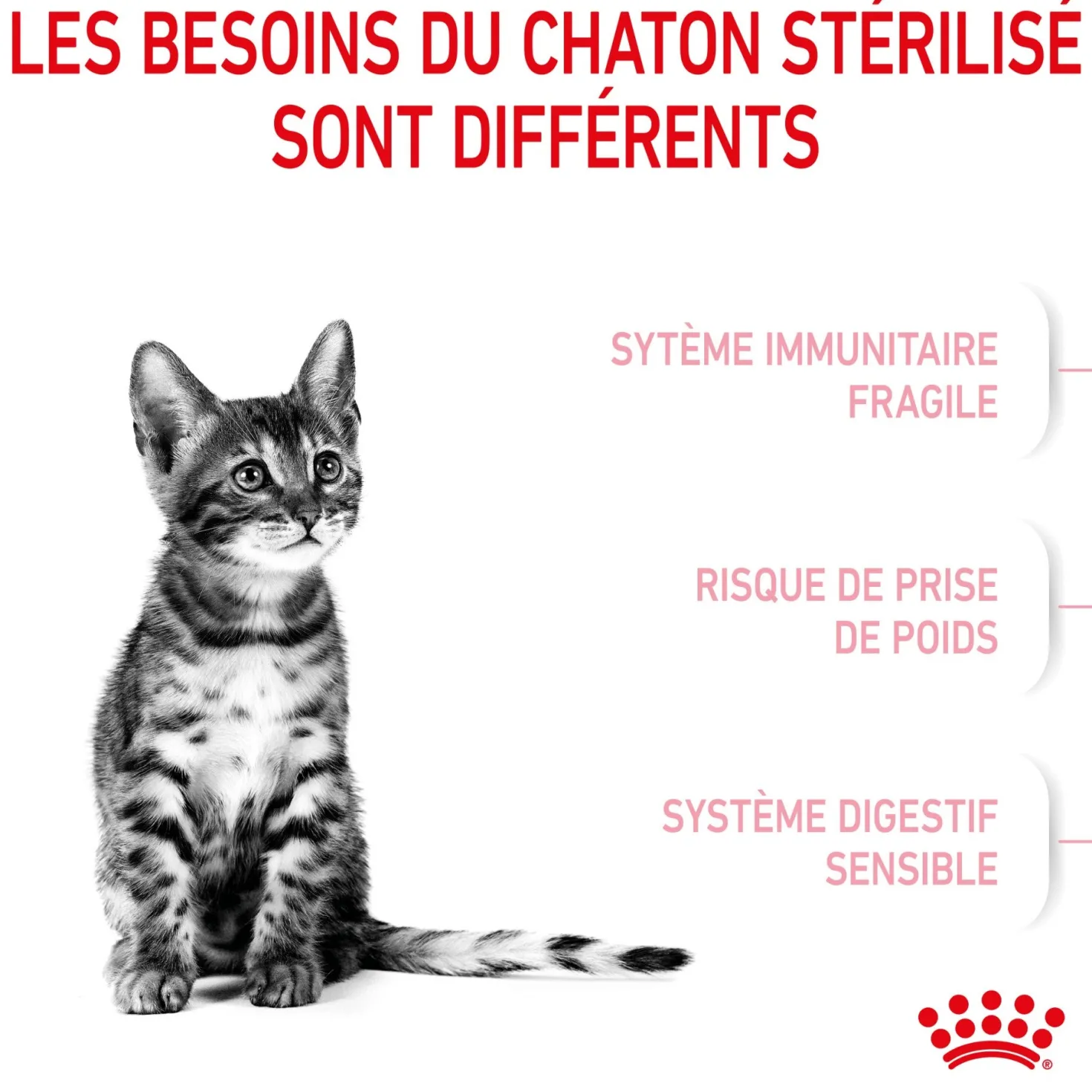 Royal Canin Kitten Sterilised - croquettes chaton
