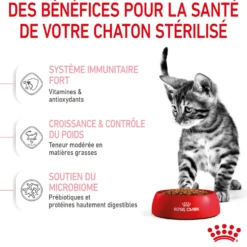 Royal Canin Kitten Sterilised - croquettes chaton