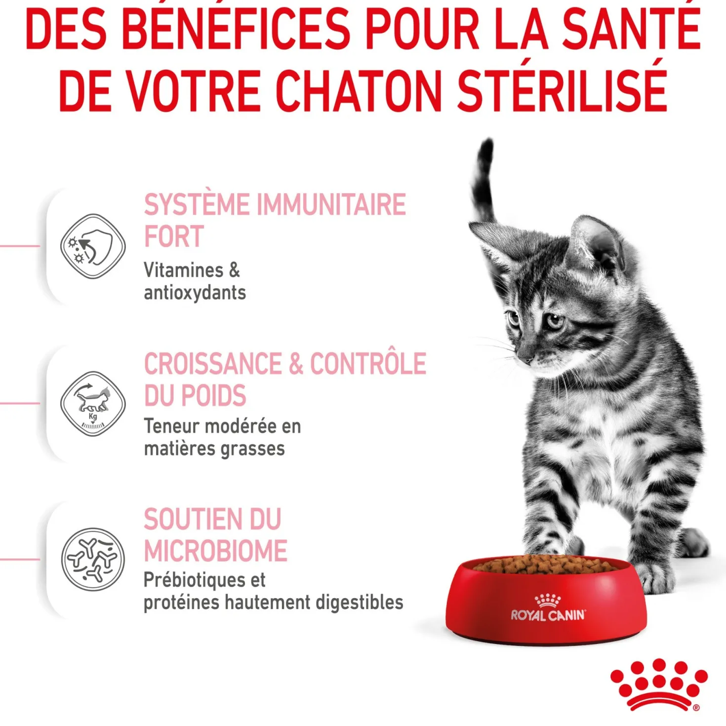 Royal Canin Kitten Sterilised - croquettes chaton
