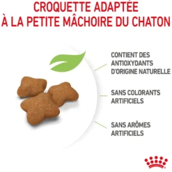 Royal Canin Kitten Sterilised - croquettes chaton