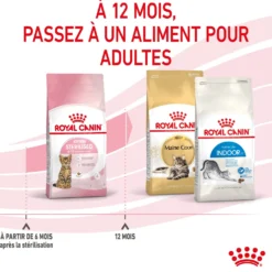 Royal Canin Kitten Sterilised - croquettes chaton