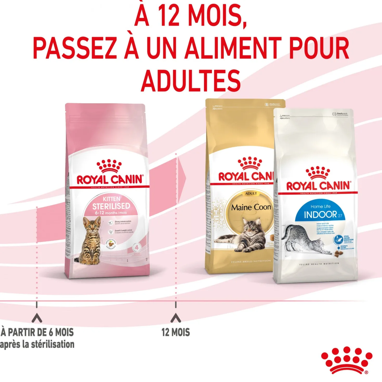 Royal Canin Kitten Sterilised - croquettes chaton