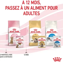 Royal Canin Kitten Sterilised gelée et sauce - pâtée chaton