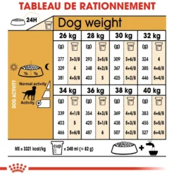 Royal Canin Labrador Retriever Sterilised Adult - croquettes chien