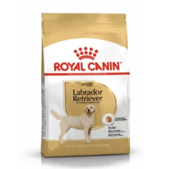 Royal Canin Labrador Retriever Adult - croquettes chien