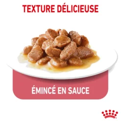 Royal Canin Light Weight Care - pâtée chat