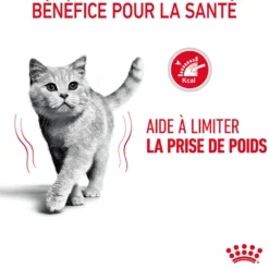 Royal Canin Light Weight Care - pâtée chat