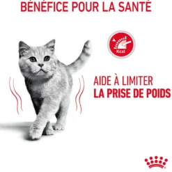 Royal Canin Light Weight Care - pâtée chat
