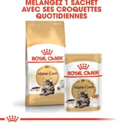 Royal Canin Maine Coon
