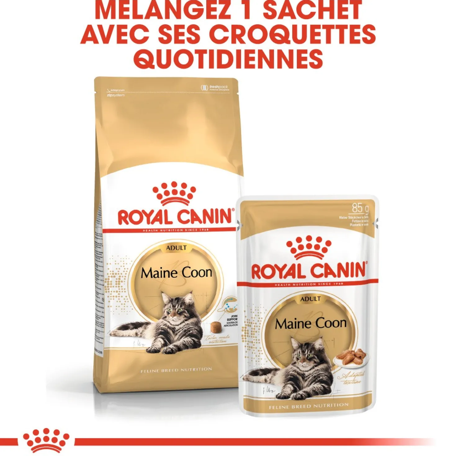 Royal Canin Maine Coon