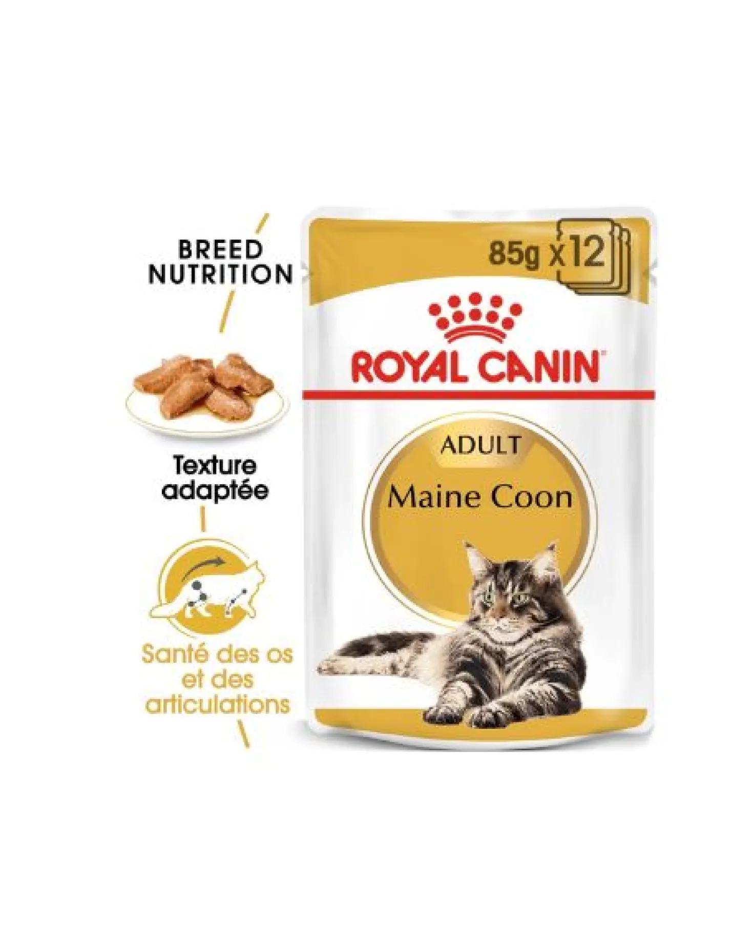 Royal Canin Maine Coon