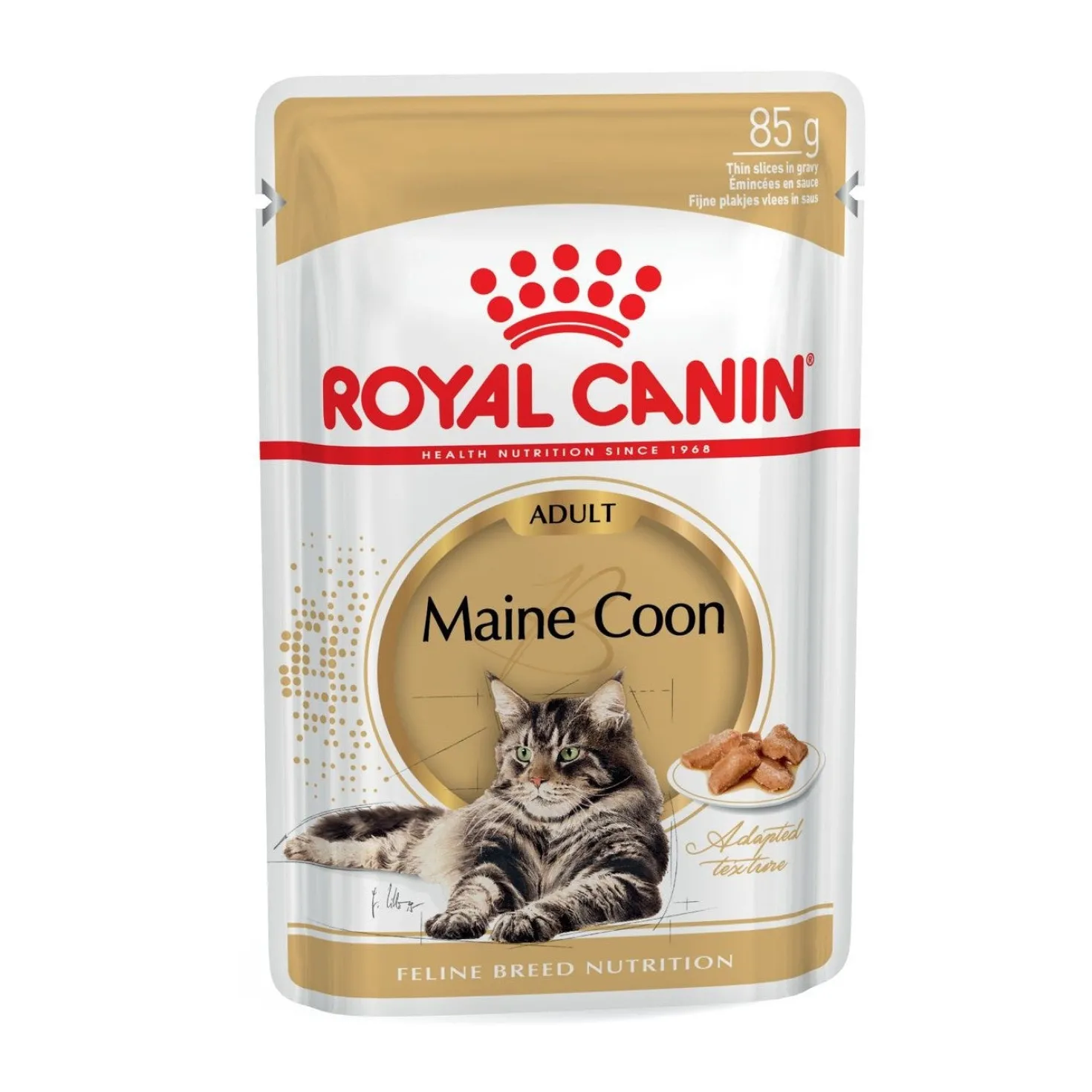 Royal Canin Maine Coon