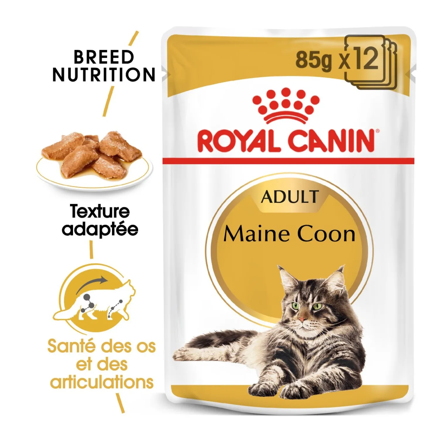 Royal Canin Maine Coon
