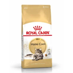 Royal Canin Maine Coon Adult - croquettes chat