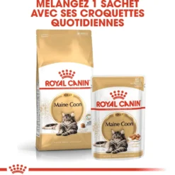 Royal Canin Maine Coon Adult - croquettes chat