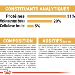Royal Canin Maine Coon Adult - croquettes chat