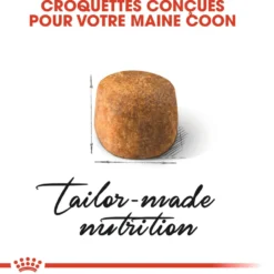 Royal Canin Maine Coon Adult - croquettes chat