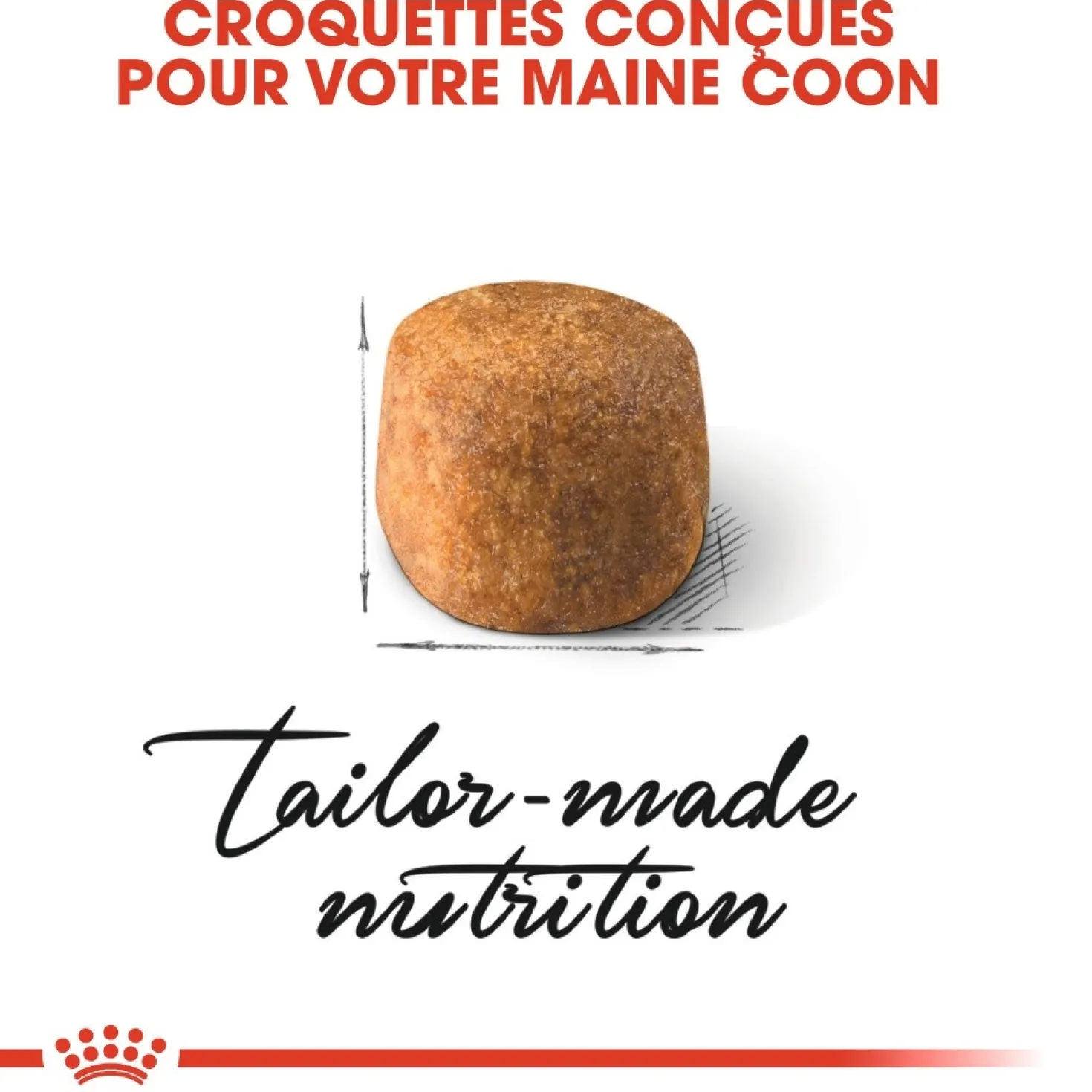 Royal Canin Maine Coon Adult - croquettes chat