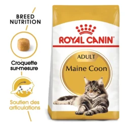 Royal Canin Maine Coon Adult - croquettes chat