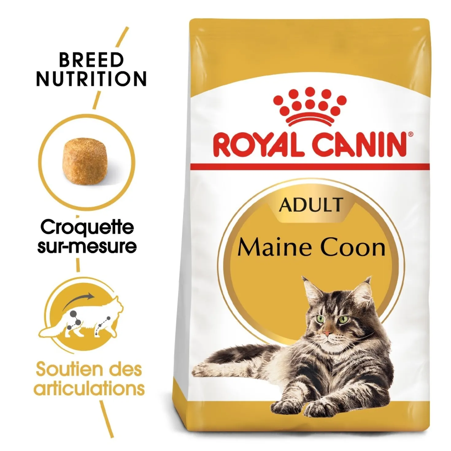 Royal Canin Maine Coon Adult - croquettes chat