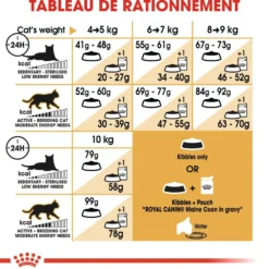 Royal Canin Maine Coon Adult - croquettes chat