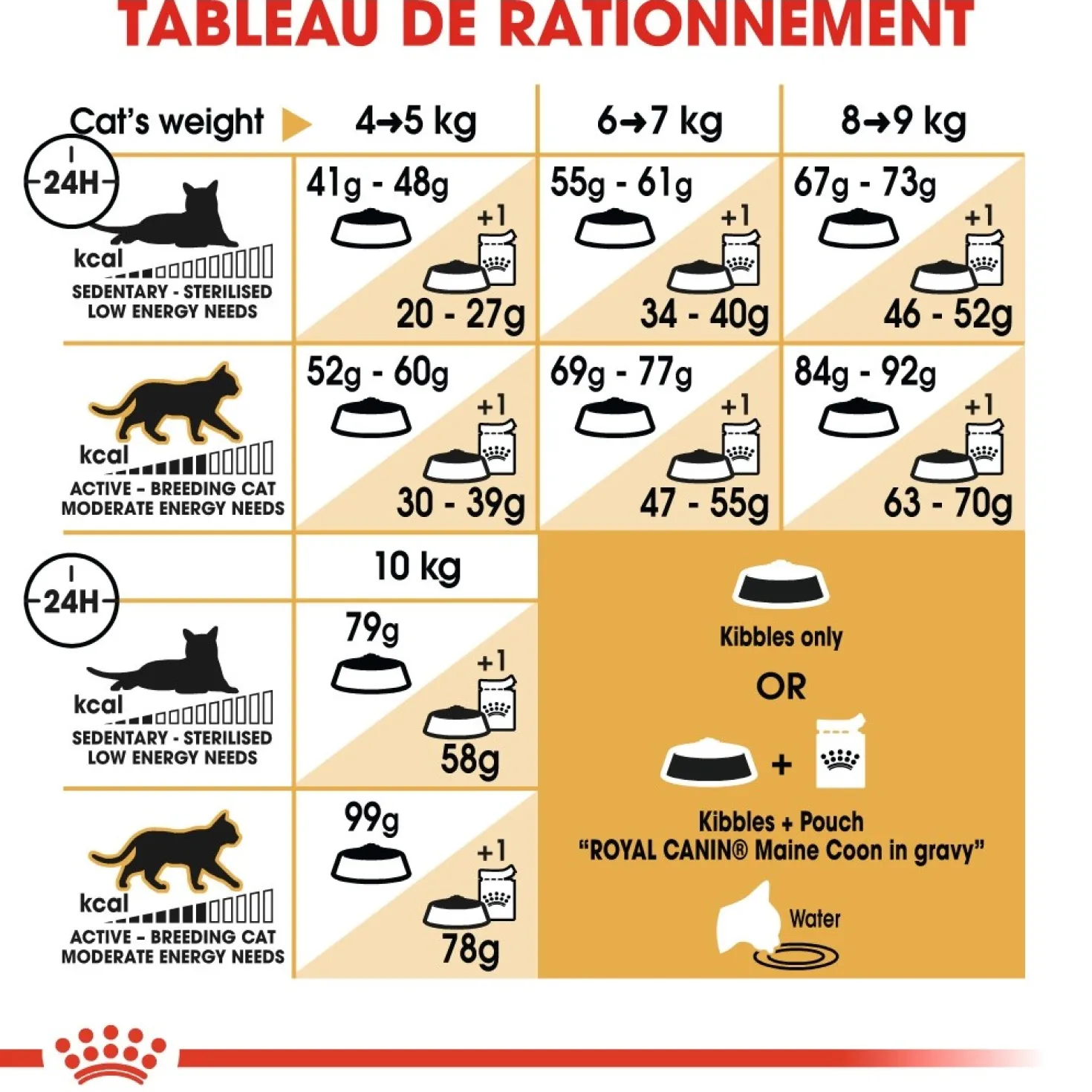 Royal Canin Maine Coon Adult - croquettes chat