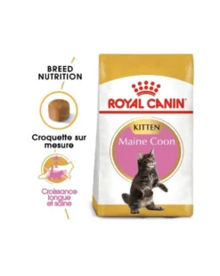 Royal Canin Maine Coon Kitten