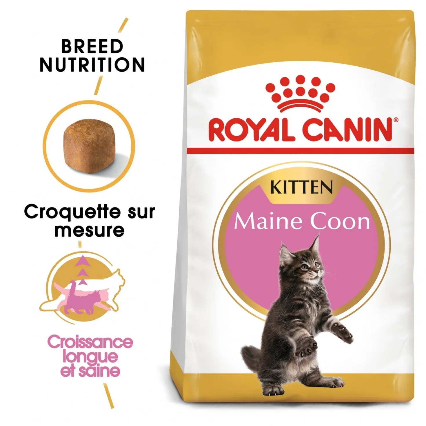 Royal Canin Maine Coon Kitten
