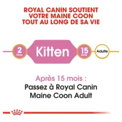 Royal Canin Maine Coon Kitten