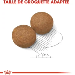 Royal Canin Maxi Adult - croquettes chien