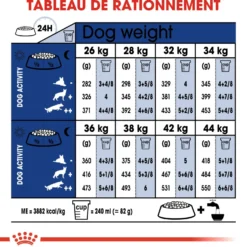 Royal Canin Maxi Ageing 8+ - Croquettes pour chien
