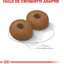 Royal Canin Maxi Ageing 8+ - Croquettes pour chien