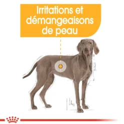 Royal Canin Maxi Dermaconfort