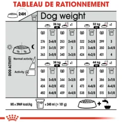 Royal Canin Maxi Dermaconfort