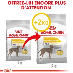 Royal Canin Maxi Dermaconfort