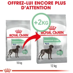 Royal Canin Maxi Digestive Care - Croquettes pour chien