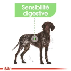 Royal Canin Maxi Digestive Care - Croquettes pour chien
