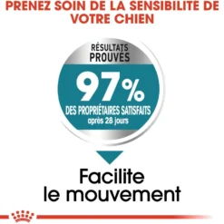 Royal Canin Maxi Joint Care - croquettes chien