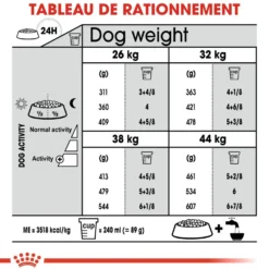 Royal Canin Maxi Joint Care - croquettes chien