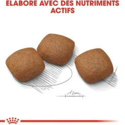 Royal Canin Maxi Joint Care - croquettes chien