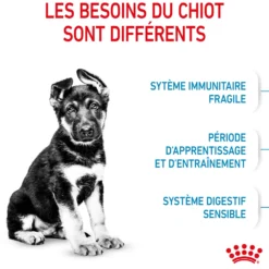 Royal Canin Maxi Puppy - Croquettes pour chiot