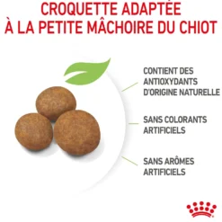 Royal Canin Maxi Puppy - Croquettes pour chiot