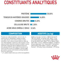 Royal Canin Maxi Puppy - Croquettes pour chiot