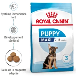 Royal Canin Maxi Puppy - Croquettes pour chiot