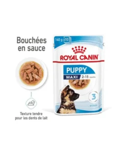 Royal Canin Maxi Puppy en sauce - pâtée chiot