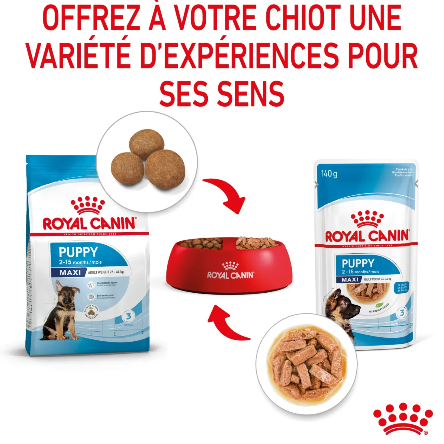 Royal Canin Maxi Puppy en sauce - pâtée chiot