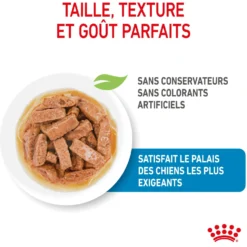 Royal Canin Maxi Puppy en sauce - pâtée chiot